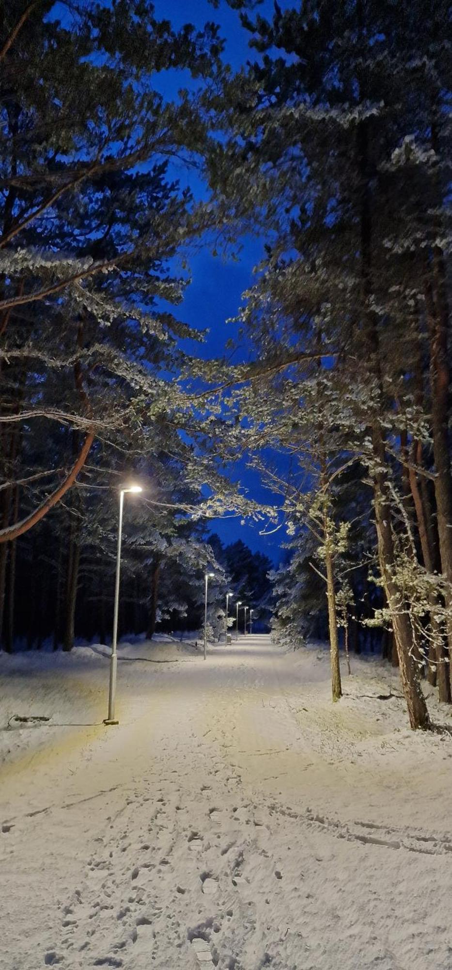 Rasos Vila Palanga Eksteriør bilde